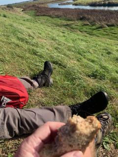 Lunch on the sea wall